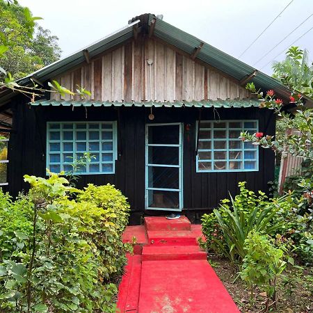 Flor De La Selva Apartamento Puerto Nariño Exterior foto
