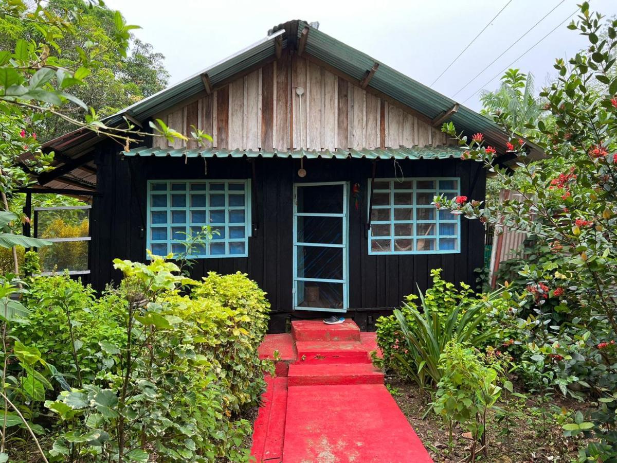 Flor De La Selva Apartamento Puerto Nariño Exterior foto