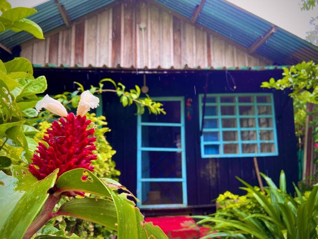 Flor De La Selva Apartamento Puerto Nariño Exterior foto